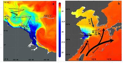 The Influence of Riverine Nutrients in Niche Partitioning of Phytoplankton Communities–A Contrast Between the <mark class="highlighted">Amazon River Plume</mark> and the Changjiang (Yangtze) River Diluted Water of the East China Sea